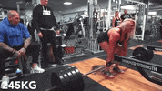 GIF by BarBend