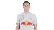 Football Applause Sticker by FC Red Bull Salzburg