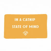 DrStacyVet cat feline veterinarian catnip GIF