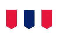 Chicago Marathon Running Sticker by Bank of America