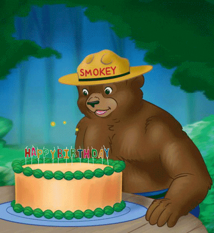 GIF by Smokey Bear