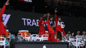 Trae Young GIF by Atlanta Hawks