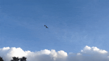 GIF by Justin