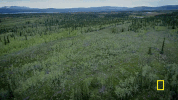 life below zero GIF by National Geographic Channel