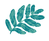 Art Illustration Sticker by Kaleko