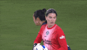 2025 GIF by National Women's Soccer League