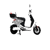 Sticker by Zebra