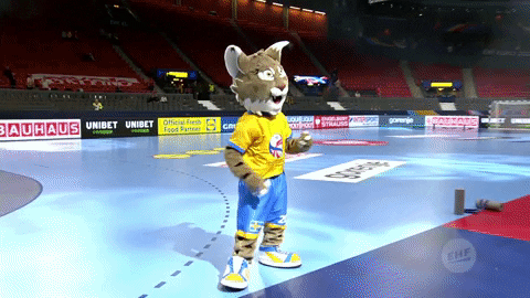 Ehfeuro GIF by EHF