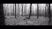 ScribeMag woman black and white running romance GIF