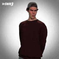 No Way Wow GIF by SWR3