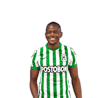 Futbol Verdolaga Sticker by Club Atlético Nacional