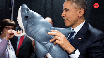 Plush Shark