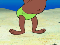 season 6 GIF by SpongeBob SquarePants