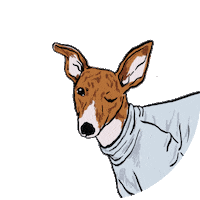 dog winking Sticker by GrayMatterLtd