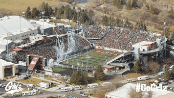University Of Montana Football GIF by Montana Grizzlies