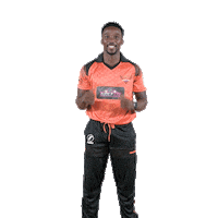 sunriserseasterncape cricket sec aya sunrisers Sticker