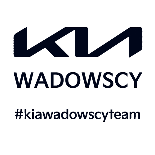KiaWadowscy giphyupload car team kia Sticker