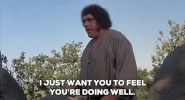 the princess bride GIF