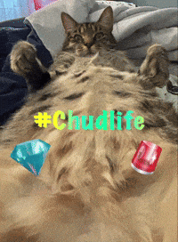 Gems Catmemes GIF