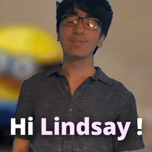 Hi Lindsay !