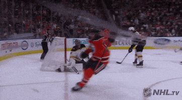 happy ice hockey GIF by NHL