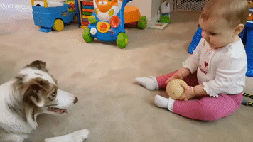 Cute Baby Plays Catch With Her Puppy Pal