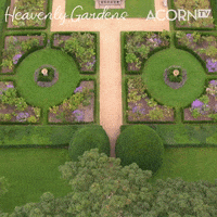 British Flower GIF by Acorn TV