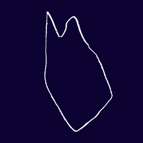 visual art cat GIF by Ge L'Heureux