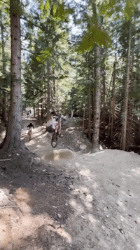 Fun Jump GIF by allmountainstyle