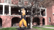 happy wake forest GIF