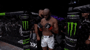 Mixed Martial Arts Sport GIF by UFC