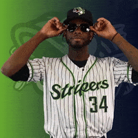 GoStripers glasses gwinnett stripers toussaint GIF