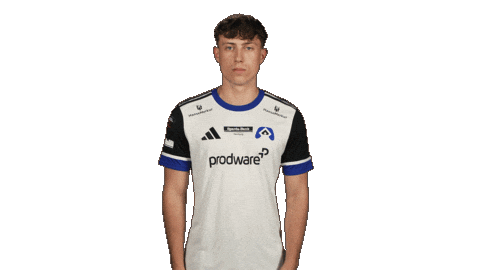 Hamburger Sv Football Sticker by Bundesliga