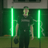 Parkside Baseball GIF by Parkside Athletics