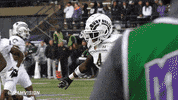 Csu Rams GIF by Colorado State Rams