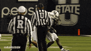 Csu Rams GIF by Colorado State Rams