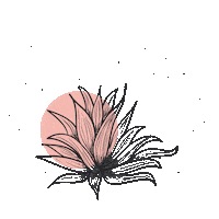 MezcalComplice mexico mezcal agave maguey Sticker