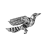 MezcalComplice mexico mezcal agave maguey Sticker