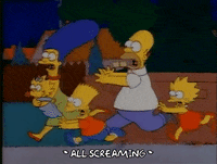 Season 1 GIF by The Simpsons