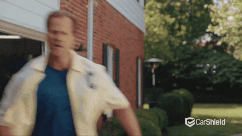 CarShield hockey team nhl coach GIF