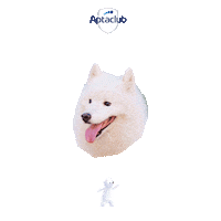 몽몽 Sticker by AptaclubKR