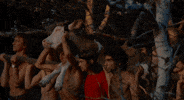 Film Cow GIF