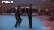 martial arts mma GIF by AKBAN Academy