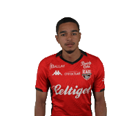 Ligue 2 Football Sticker by EA Guingamp