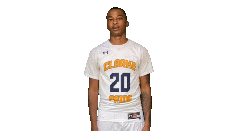 Sport Heart Sticker by Clarke University