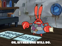 season 5 GIF by SpongeBob SquarePants