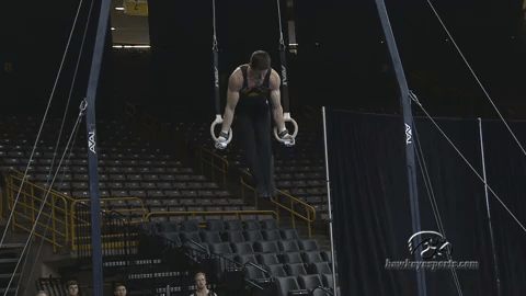 Iowa Hawkeyes Hawks GIF by University of Iowa Hawkeyes Athletics