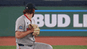 Blue Jays Celebration GIF by Toronto Blue Jays