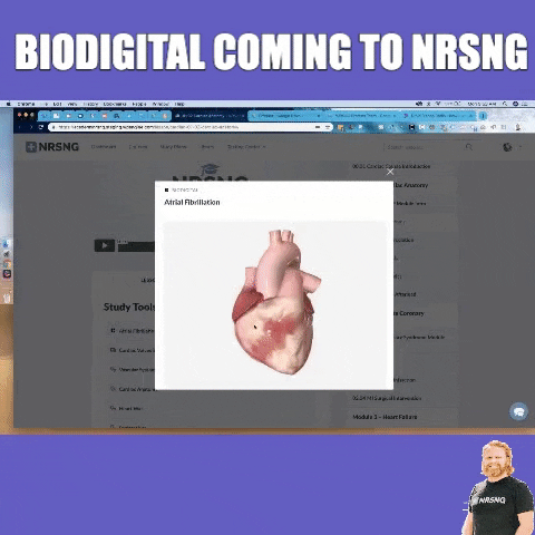 nrsng_com nursing school nrsng GIF