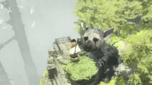 last guardian ps4 GIF by gaming